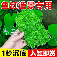 ���ذ�����ˮ���ձ�ſ�ذ�����ֲ�����B�~���쾰��ƺ����ˮ�|
