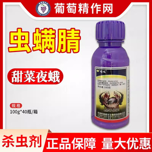 ����S ���� 30%�x�\����{���ҹ������x���^�x���x���rș���l