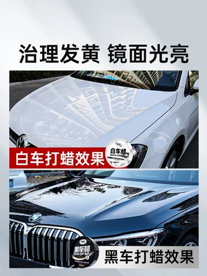Glazing Universal Coating Maintenance Scratch — Car wax