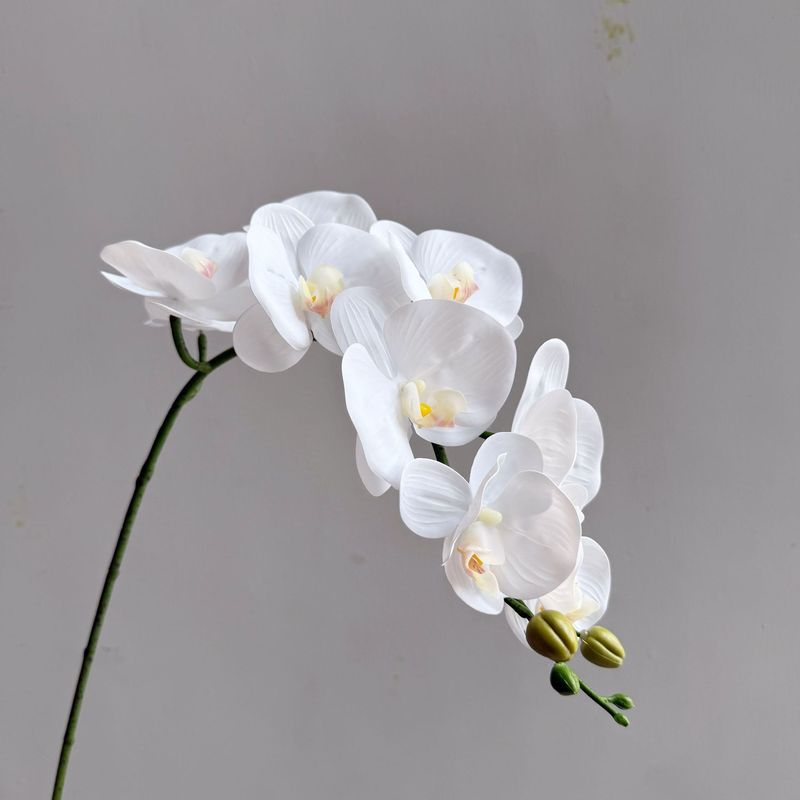 模擬感触胡蝶蘭シングルハイエンド装飾品白造花フィルム結婚式ホームソフト装飾フラワーアレンジメント|undefined