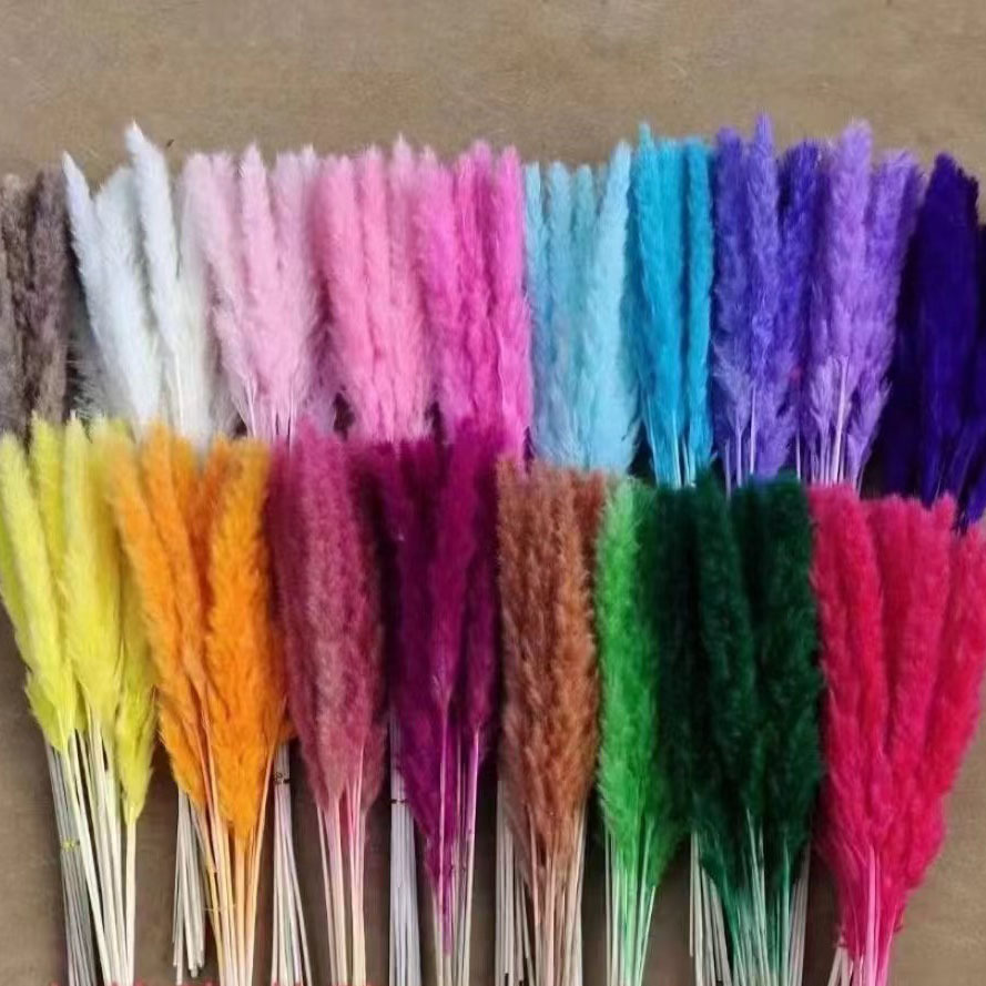 맞춤형 색상/부케