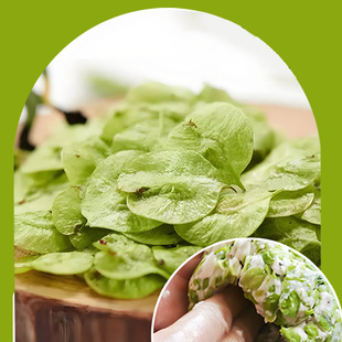 ���X�C�C�^�����X�F���F�l�ֹ��ּZ�����ʳ����l؛Ұ�˸C�C�^