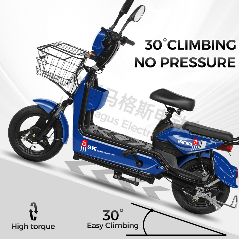 Fuente fábrica venta directa coche eléctrico bicicleta eléctrica transfronteriza coche de batería doble adulto transfronterizo coche eléctrico de dos ruedas