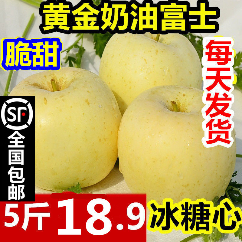 烟台奶油富士苹果新鲜水果10斤代批发糖心山东黄金奶油苹果礼盒装