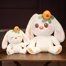 2023���꼪�����ͺ���ë�q�������Y�﹫��������ż�����ü�LOGO