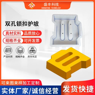 定制加工高速市政双孔锁扣连锁块生态护坡混凝土预制注塑塑料模具