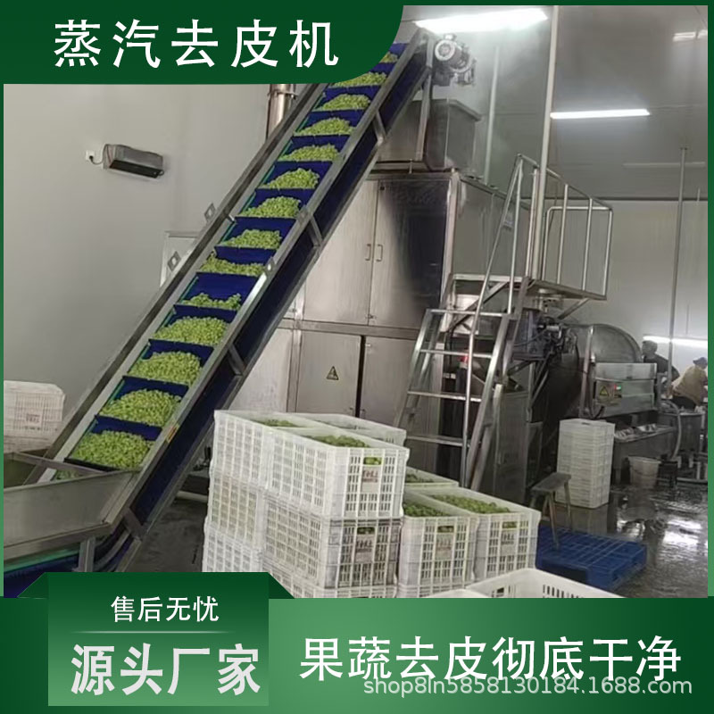 西红柿蒸汽去皮机 葡萄果蔬去皮设备 番茄酱加工流水线设备