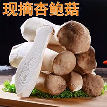 ���U���Ҝ����r�u�ȹ���ؐʳ�þ����ʳ�����l���]Ģ���߲�һ����