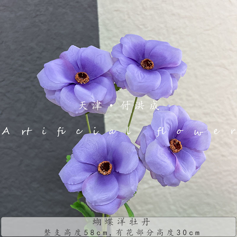 나비 모란-보라색