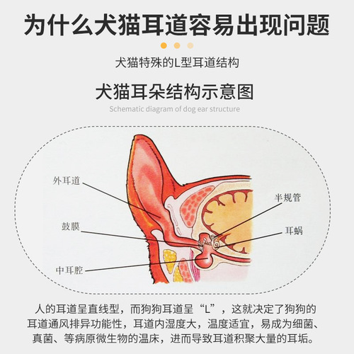 Dog ear hair removal powder Teddy ear cleaning powder Golden hair hair removal powder Cat ear cleaning supplies Pet ear canal hair removal powder