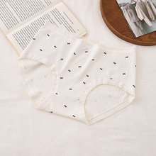 A��ރ�ѝŮ����С�黨ȫ���d��Ůʿ�W������ѝ2025�ﶬ�S�F؛