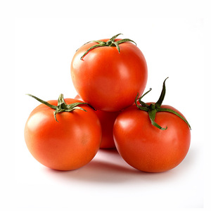 云南基地直供新鲜番茄现摘先西红柿现货批发酸甜多汁5斤装番茄