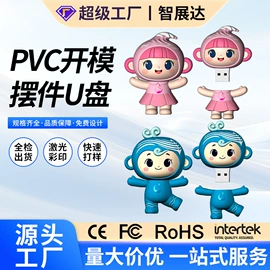 U盘;数码存储卡