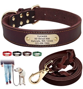 Leather Dog Collar Labrador Large Dog Dog Brand Engraving Anti-Losing Pet Dog Collar Small and Medium Dog Collar