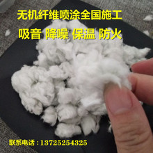 ﱣ؟oCwST Ҹ뇊T ̠wwSTl