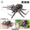 HFM hollow spider