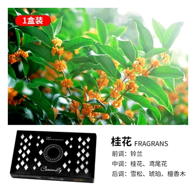 Fashion Hotel solid perfume Car Perfume Aromatherapy - osmanthus-180g
