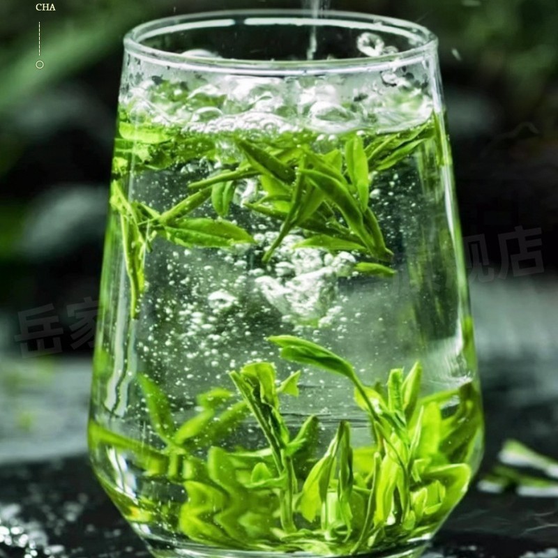 野生の特級小葉クディン茶の新芽、青山と緑の健康茶缶詰メーカー在庫卸売|undefined