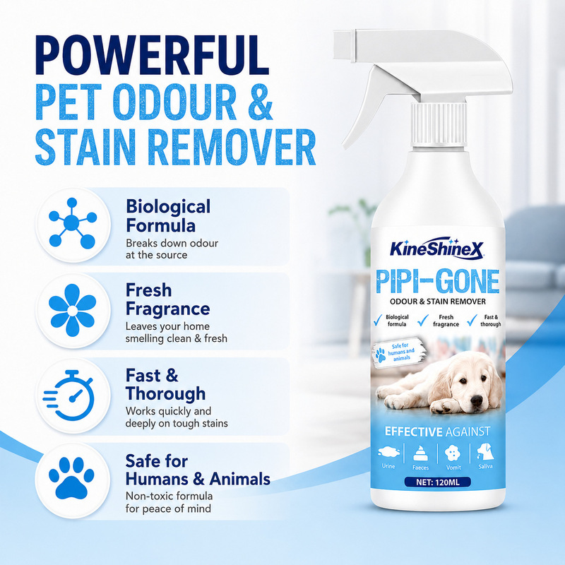 Kineshinex Pet Cleaning Spray Removes Urine Odor and Stains, Suitable for Carpets, Sofas, Tiles, and Pet Nests Kineshinex Pet Cleaning Spray Removes Urine Odor and Stains, Suitable for Carpets, Sofas, Tiles, and Pet Nests