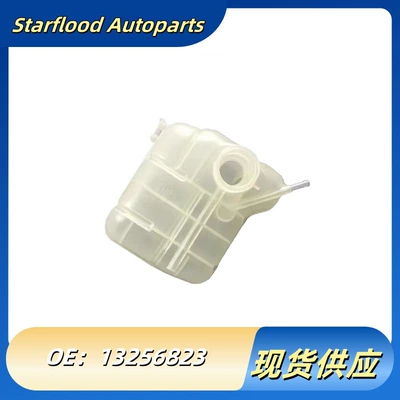 For Chevrolet Cruze Opel Astra Expansion Kettle Pay Kettle 13256823 Cross-border 13465094 (Water tank)