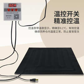 批发加热垫爬宠控温鱼缸自动恒温孵化爬虫宠物鸟温控器充电宝