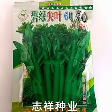 范记碧玉尖叶60天/80天菜心种子378油青色粗条甜菜心耐速生四季