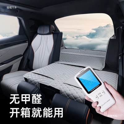 Trunk Mat 2024 Tang EV Tang DMp