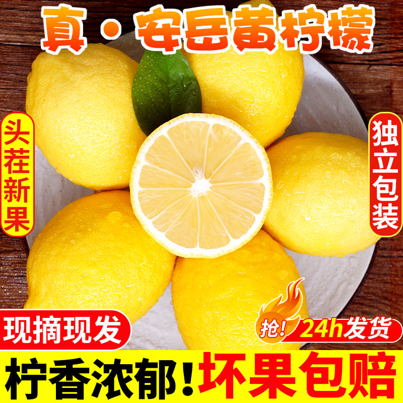 四川安岳黄柠檬新鲜水果皮薄当季整箱香水甜青柠檬小金桔特产