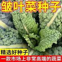 ~˷NӰ~ ¸{NӺڸ{{ɳļﶬNֲѿ