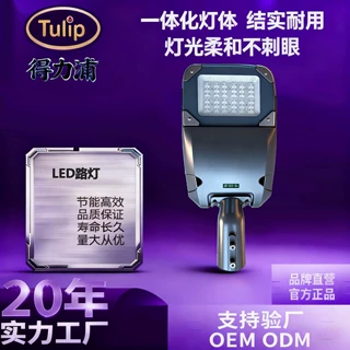 TULIP得力浦 太阳能LED路灯 道路照明灯 JN-60W-240W节能高亮防水