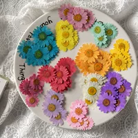 Хризантема сушеный цветок с тиснением DIY Поздравительная открытка Закладка клей капля ювелирные аксессуары для ароматерапии аксессуары для свечей перегородка сушеный лист настоящий цветок
