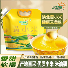 С����������SС��5���b2025����ճ�s�Z���������l���С�����l