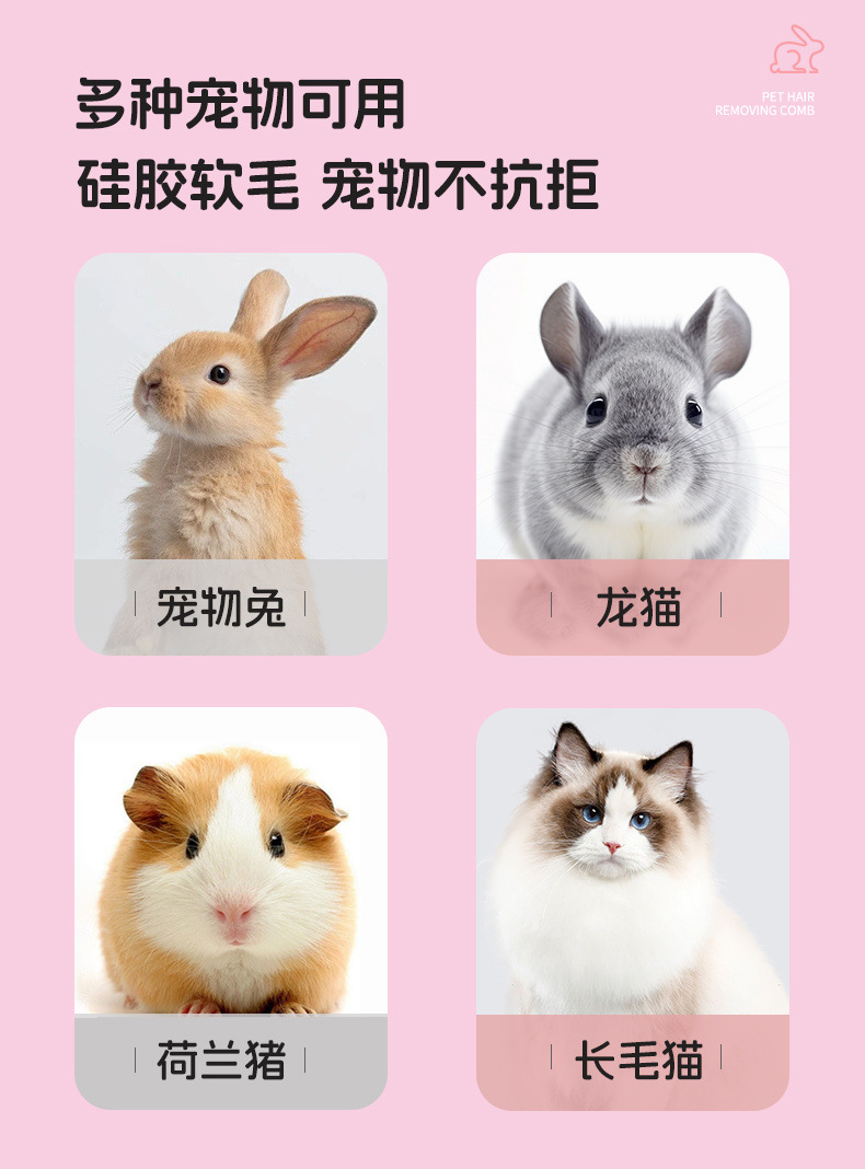 7e81706b-5a57-4f95-8777-339a091b29aa.jpe