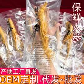 【东北保鲜人参】长白山鲜人参批发工厂保鲜泡酒多规格整根独立