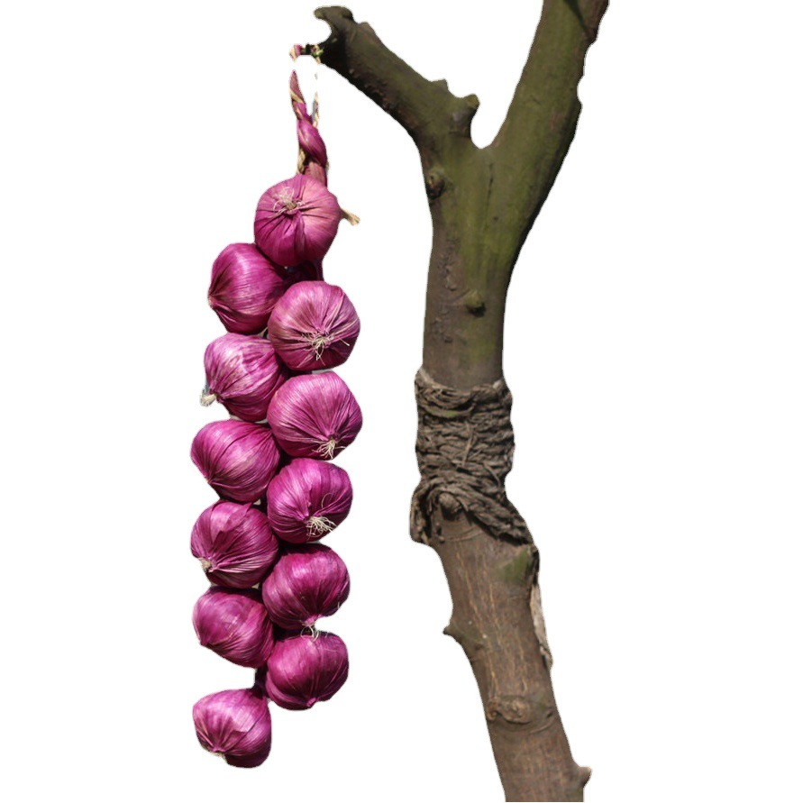 Vegetales artificiales cadena ajo colgante cadena maíz maní patata calabaza pimienta granja decoración fotografía props lote