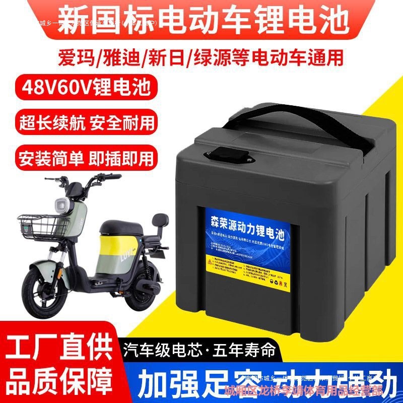 16A24锂电池AH48V15A绿源爱玛新日国标新台铃20AH其他非进口