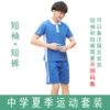 Summer clothing, shorts, with short sleeve