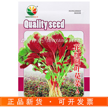 农之子花红圆叶苋菜A红根苋菜春秋季高产农家四季蔬菜严选红汉菜