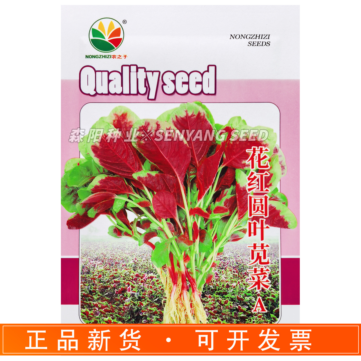 农之子花红圆叶苋菜A红根苋菜春秋季高产农家四季蔬菜严选红汉菜