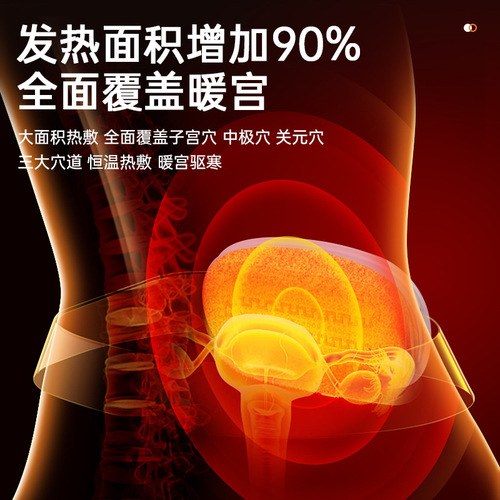 Women's New Menstrual Relief Heating Waist Belt with Abdominal Vibration Heating Gadget, Heat Therapy Electric Massage Waist Support