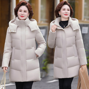 ����Ůʿ��q�����L��2025�¿������ꋌ���������q�Ӻ��a����