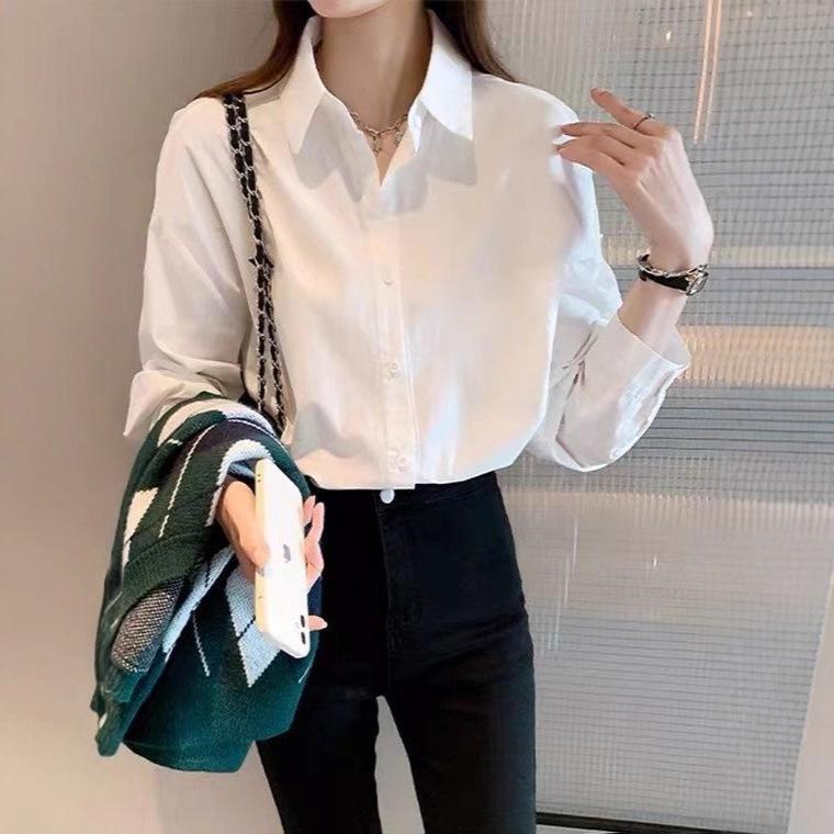 白衬衫女纯棉新款春秋设计感小众洋气女装上衣百搭休闲白色衬衣春|undefined