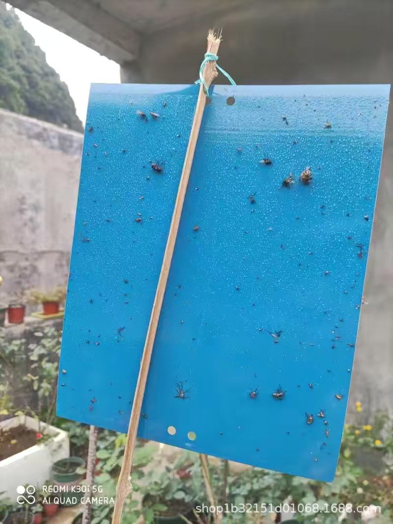 타이 와이어로 덮인 등판