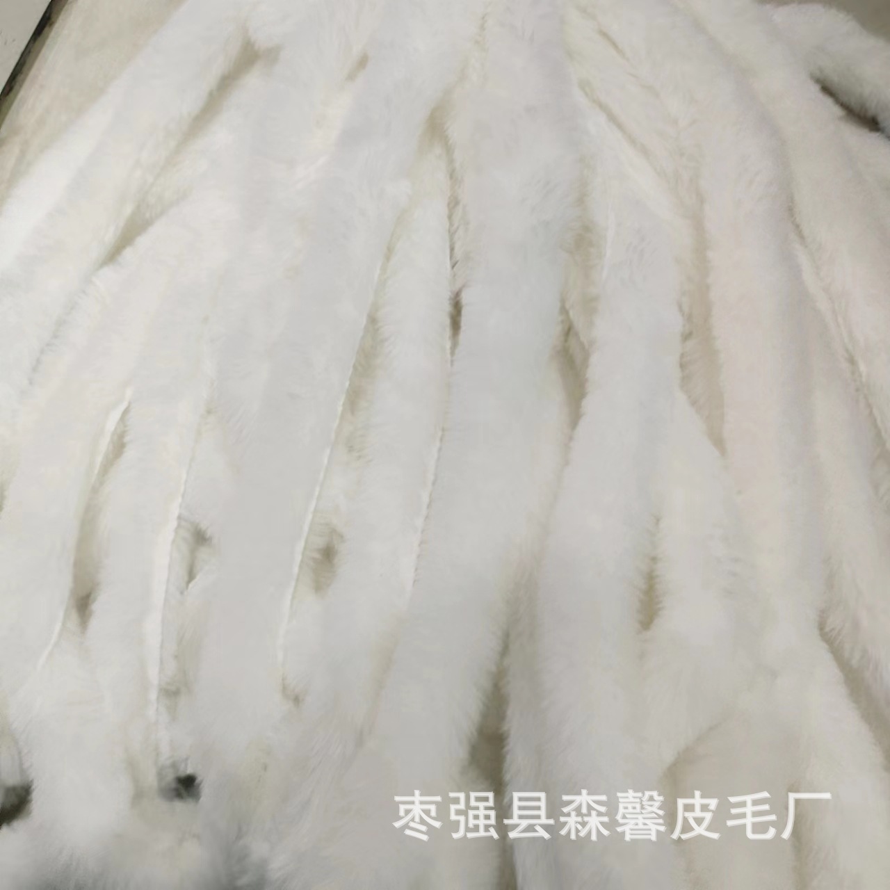 微信图片_20231010141928