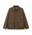Elegant Brown