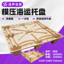 �S�����lģ���бPEPAL��Ѭ������ľм�������D�|���庣�\���ڿ���