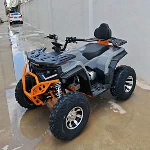 200Cc Big Wolf ATV Off-Road Motosiklet Yetkin Dörd Təkərli Off-Road Vasitə