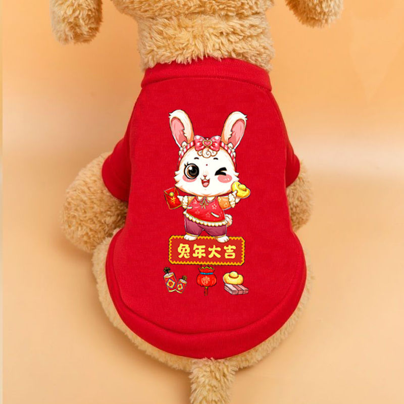 Teddy clothes new year Dogs Spring Winter clothes Pets Bichon Hiromi Puppy Kitty Clothes & Accessories Amazon