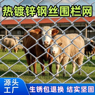 ��\�F�z�W�Bֳ����Ȧ䓽z�W���@������x���o�W�����W�W���B�u�W