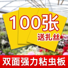 �S���p��ճ�x���w�x���N�S�{�E�RС���wմ��ω�T��������ճ������